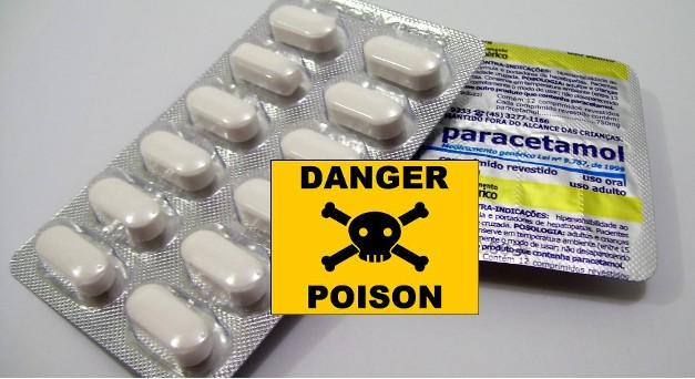 Conseils-chats-dangers-paracetamol.jpg