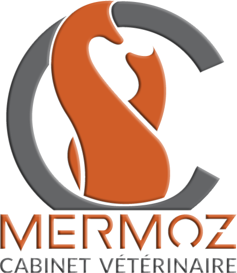 Logo 3D