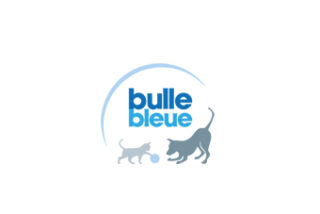 Bulle bleue